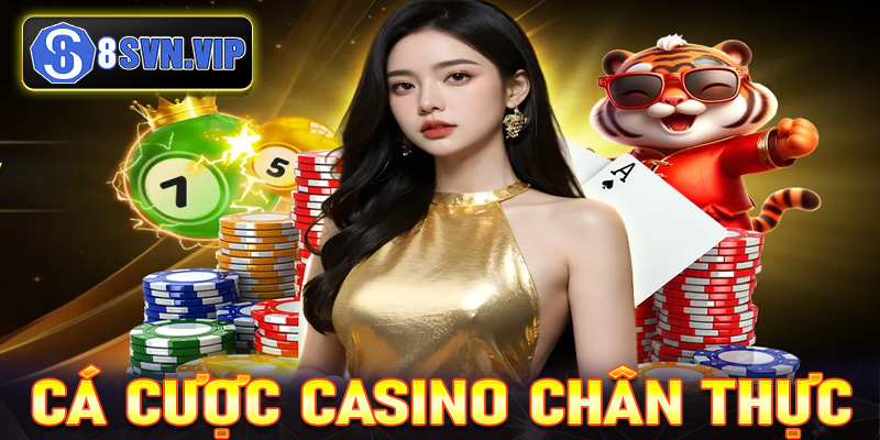 Tham gia cá cược Casino chân thực và đỉnh cao